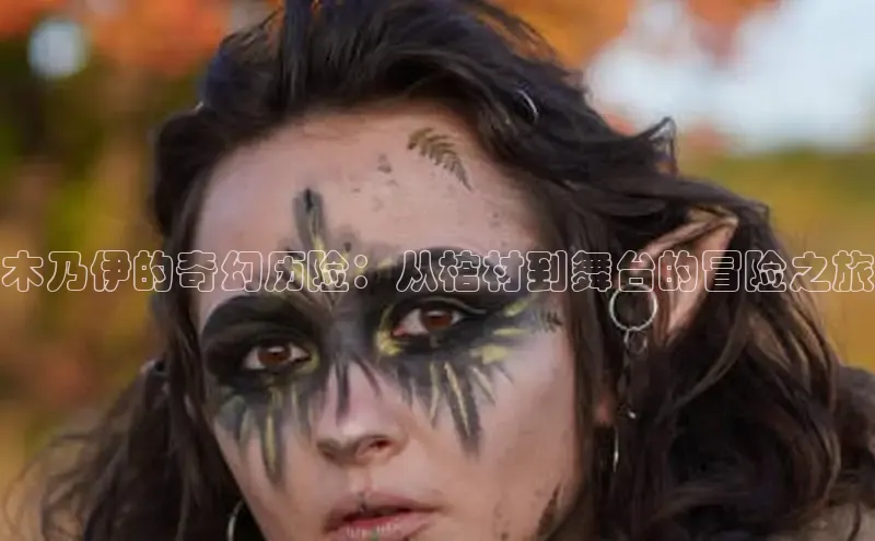 樱花动漫官方入门网站网页版